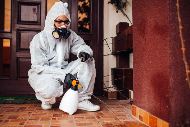 Attic and Crawl Space Rodent Treatment in Fort Morgan