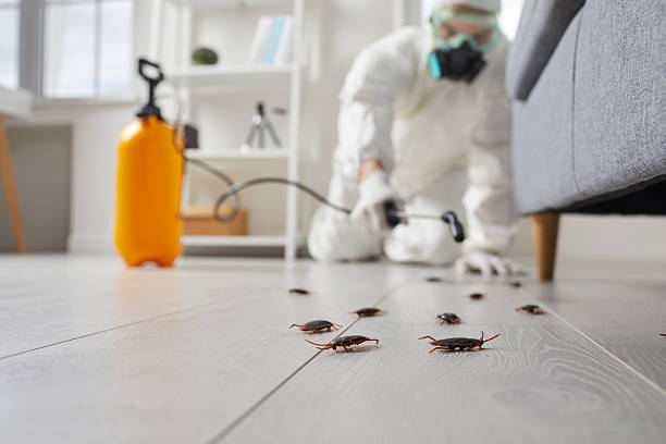 Commercial Rodent Management in Fort Morgan